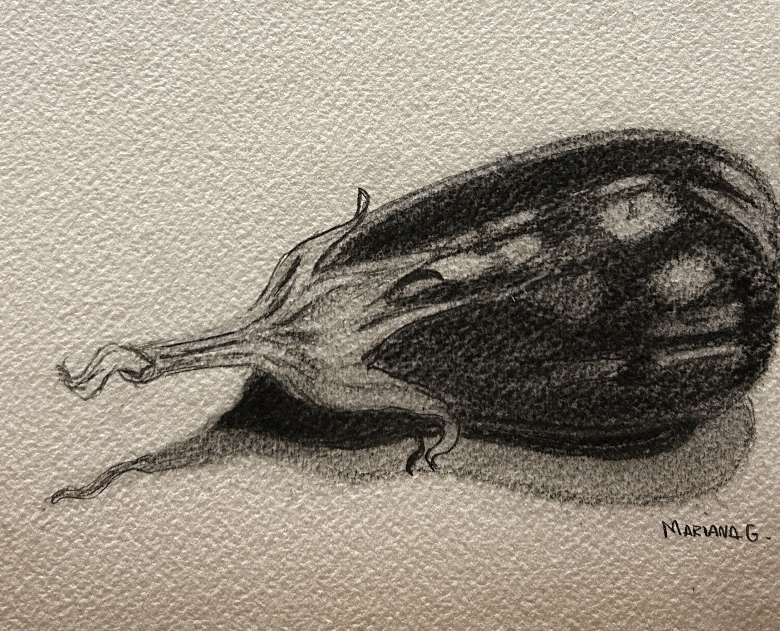 Eggplant